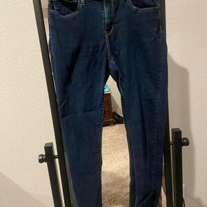 Stylish Navy Women's Skinny Jeans